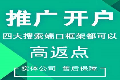 如何在sem竞价托管中取得卓越效果——案例解读